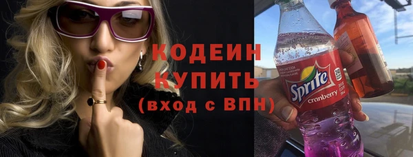 шишки Переславль-Залесский