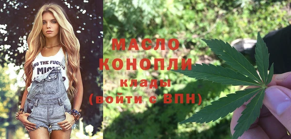 шишки Переславль-Залесский