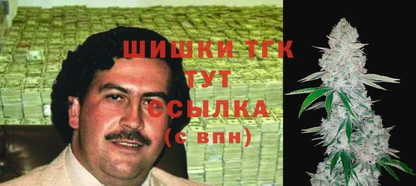 ECSTASY Осинники