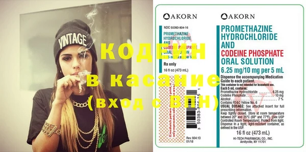 дурь Пересвет