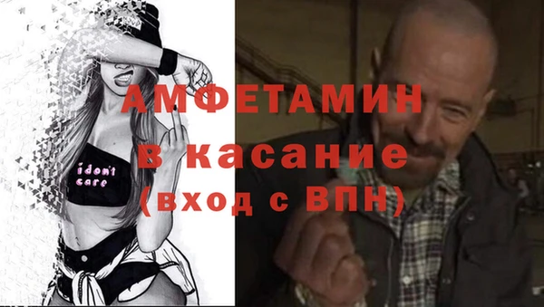 шишки Переславль-Залесский