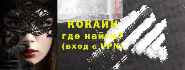 дурь Пересвет