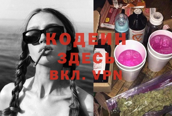 дурь Пересвет