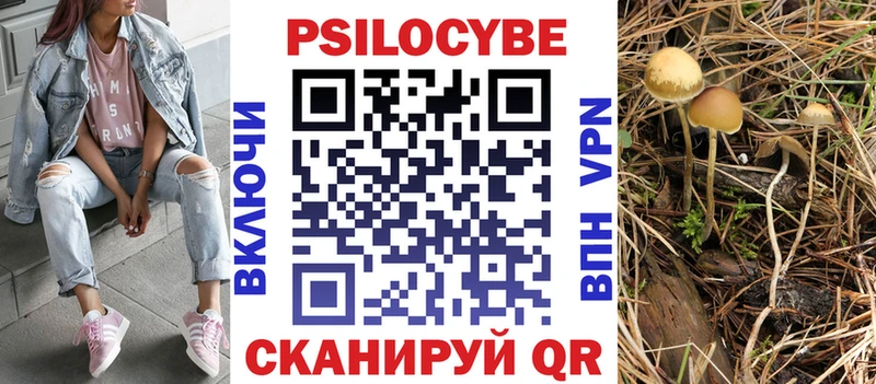 Псилоцибиновые грибы Cubensis Багратионовск